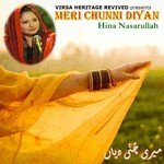 Sanwala Ve Teri Yaad Wich Hina Nasarullah Song Download Mp3