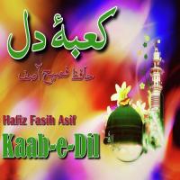 Madina Yaad Aata Hai Hafiz Fasih Asif Song Download Mp3
