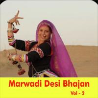 Marwadi Desi Bhajan, Vol. 2 songs mp3