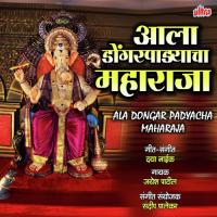 Ala Dongarpadyacha Maharaja Jayesh Patil Song Download Mp3