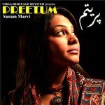 Preetum songs mp3