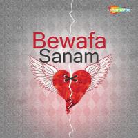 Bewafa Sanam songs mp3