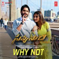 Why Not (From "Savyasachi") songs mp3