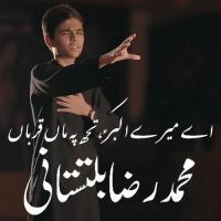 Ae Mere Akbar Tujh Pe Maa Qurban Muhammad Raza Baltistani Song Download Mp3