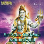 Srisaila Mallanna Animutyalu Vol - 2 songs mp3