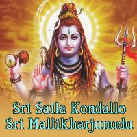Srisaila Mallanna Animutyalu Vol - 1 songs mp3
