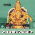 Saranam Maddineni Shankar Song Download Mp3