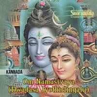 Om Namasivaya (Dwadasa Jyothirlingalu) songs mp3