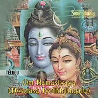 Om Namasivaya (Dwadasa Jyothirlingalu) songs mp3
