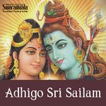 Adigo Srisailam songs mp3