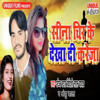 Sina Cheer Ke Dekha Di Kareja Videshi Lal Yadav,Anshu Bala Song Download Mp3