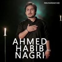 Sakina Watan Chalo Ahmed Habib Nagri Song Download Mp3