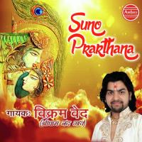 Radha Tere Sham Nu Vikram Ved Song Download Mp3