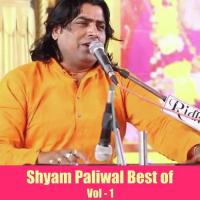 Bhajan Mein Jawa Koni De Shyam Paliwal Song Download Mp3