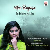 Etuku To Jane E Hridoy Brishtilekha Nandini Song Download Mp3