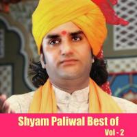 Dharti Pe Chayo Paap Shyam Paliwal Song Download Mp3