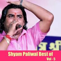 Jogmaya Shyam Paliwal Song Download Mp3