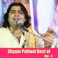 Shyam Paliwal Best of, Vol. 4 songs mp3