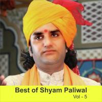Aai Navrata Wali Raat Shyam Paliwal Song Download Mp3