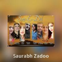 Yaaro Me Wantav Saurabh Zadoo Song Download Mp3