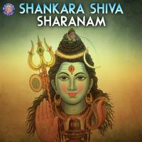 Shankara Shiva Sharanam songs mp3