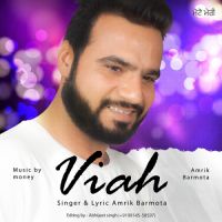 Viah Amrik Barmota Song Download Mp3