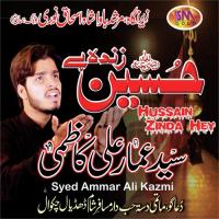 Bari Dard Naak Hai Karbla Ke Dastaan Syed Ammar Ali Kazmi Song Download Mp3