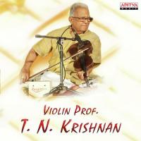 Violin Prof. T.N. Krishnan songs mp3