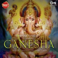 Ganesh Mala (From "Ganpati Bappa Daya Karo") Nitin Mukesh,Alka Yagnik Song Download Mp3