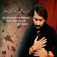 Ae Shaheed E Karbala Tujh Par Salam Ali Sher Song Download Mp3