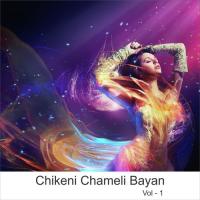 Chikeni Chameli Bayan, Vol. 1 songs mp3