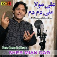 Ali Maula Ali Dam Dam songs mp3