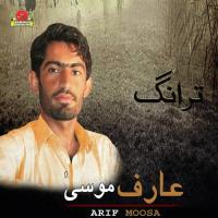 Hairan Kna Arif Moosa Song Download Mp3