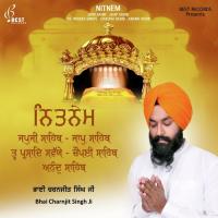 Jaap Sahib, Pt. 2 Bhai Charnjit Singh Ji Song Download Mp3