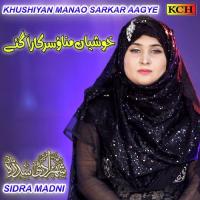 Khushiyan Manao Sarkar Aagye songs mp3