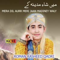 Jab Naat Nabi Ki Parhta Hun Roman Rasheed Qadri Song Download Mp3