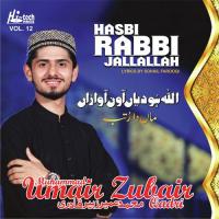 Eh Sabz Gumbad Waley Muhammad Umair Zubair Qadri Song Download Mp3