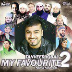 My Favourite Naat And Nasheeds 2 - Tanveer Iqbal songs mp3