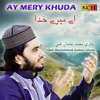 Dil De Andar Allah Waly Qari Muhammad Usman Ghani Song Download Mp3