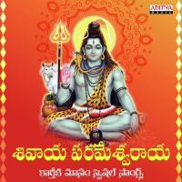 Namo Bhagavathe Rudraya (From "Rudra") Nihal Song Download Mp3