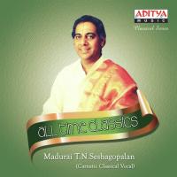 Enna Solli Madurai T.N. Seshagopalan Song Download Mp3