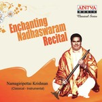 Sri Maha Ganapathi Namagiripettai Krishnan Song Download Mp3