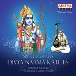 Sri Thyagaraja&039;s Divya Naama Krithis songs mp3
