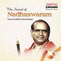 The Sound Of Nadhaswaram songs mp3
