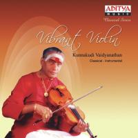 Brova Bharama Kunnakudi Vaidyanathan Song Download Mp3