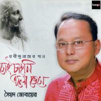 Sunil Sagore Shyamol Kinare Syed Jobayer Song Download Mp3