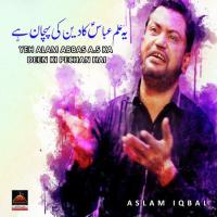 Kar Diya Heran Sab Ko Yun Peesar E Shabir A.s Ne Aslam Iqbal Song Download Mp3