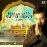 Har Ko Naam Sada Sukhdayi - Gurbani By Jagjit Singh songs mp3