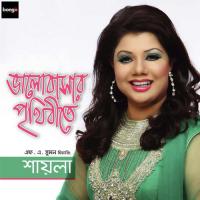 Bhalobashar Prithibi songs mp3