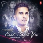 Can&039;t Forget You (Tujhe Bhula Diya) Arjun,Jonita Gandhi Song Download Mp3